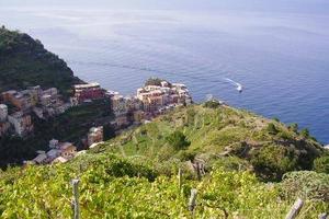 Attività / Licenza di 100 m² con 2 locali a Riomag