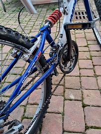 bicicletta  costo euro 50