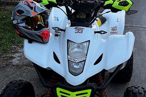 Quad Suzuki Ltz 400