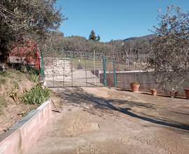 Terreno Agricolo Oliveto Edificabile