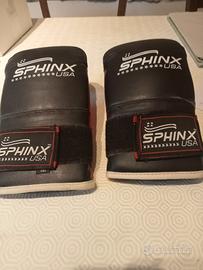guantoni da boxe 