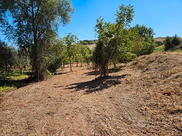 Piccolo appezzamento di terreno agricolo