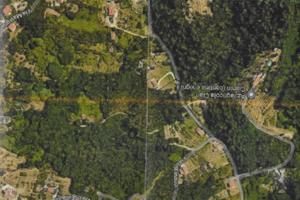 Terreno boschivo