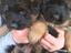 Immagine 23