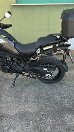 Cf moto 800 mt explore