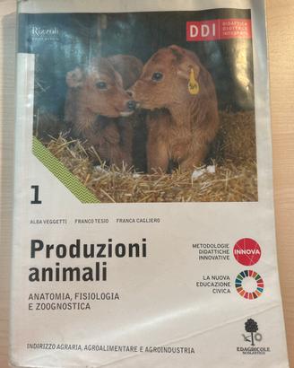 Libri