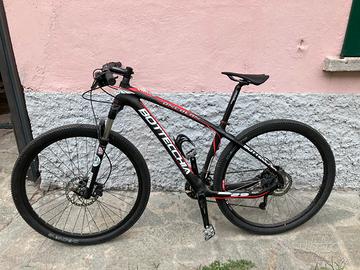 Mountain bike carbonio