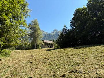Casera stalla rustico e bosco boschi