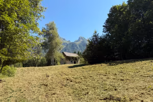 Casera stalla rustico e bosco boschi