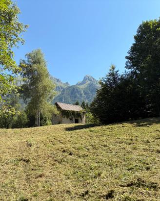 Casera stalla rustico e bosco boschi
