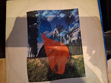 pink floyd wish you were here