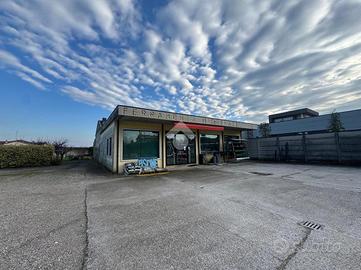 ATTIVITÀ A MOZZECANE