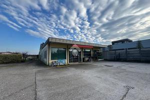 ATTIVITÀ A MOZZECANE