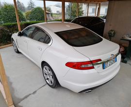 JAGUAR XF 1ª serie (X250) - 2008