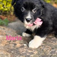Marta due mesi