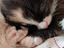 Immagine 1