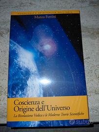 Coscienza e origine dell'universo