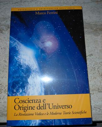 Coscienza e origine dell'universo