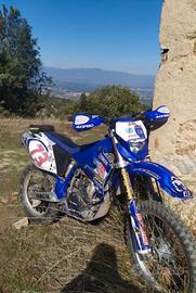 YAMAHA WR250F 