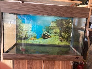 Acquario 125L