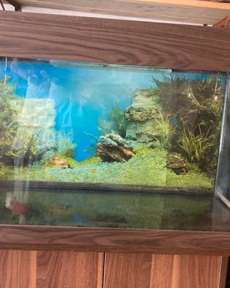 Acquario 125L