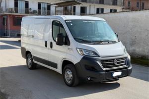 Ducato 2.3 mjt e6 frigo corto t basso no atp 2017