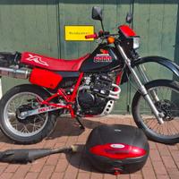 Honda XL 600 R - 1985