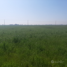 Terreno agricolo ferrara