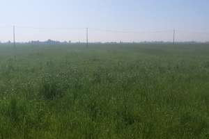 Terreno agricolo ferrara