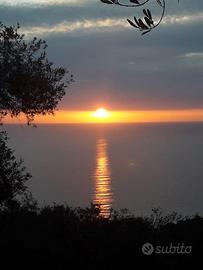 Marina di Pisciotta 100 m dal mare