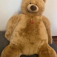 Orso gigante trudi