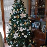 Albero natale