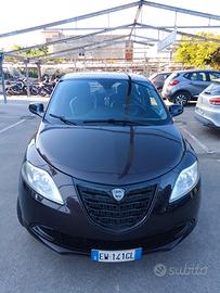 lancia y