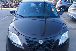 lancia y