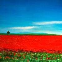 Dipinti olio su tela