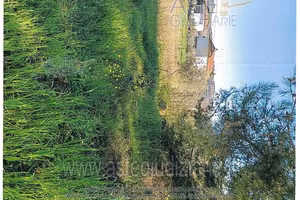 Terreno Agricolo Maiolati Spontini [A4352819]