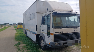 Van Trasporto Cavalli Volvo FL 6.12