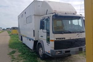 Van Trasporto Cavalli Volvo FL 6.12