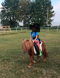 Pony