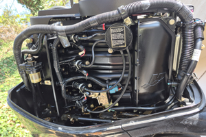 Gommone 6 metri con 2 motori