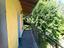 Immagine 21