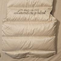 smanicato Lamborghini 