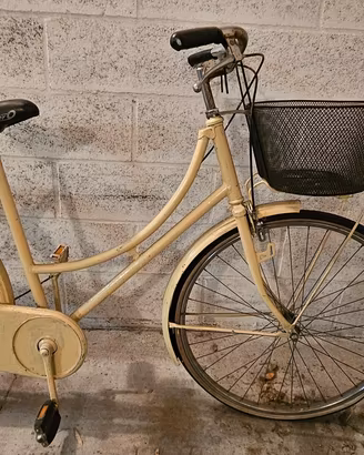 Bici con cestello