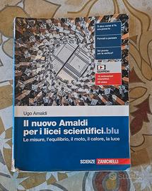 Il nuovo Amaldi licei scientifici 9788808920577