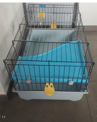 gabbia per porcellino d'Inia