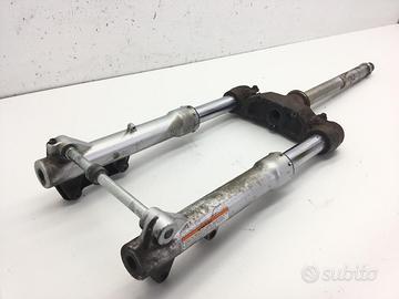 APRILIA SCARABEO LIGHT 250 FORCELLA - PUNTI DI RUG