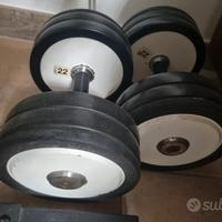 pesi manubri technogym per palestra o allenamento