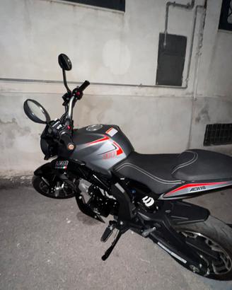 Lem brutus 2026