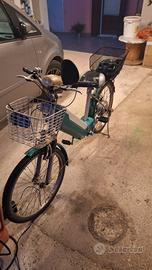 Bicicletta Elettrica