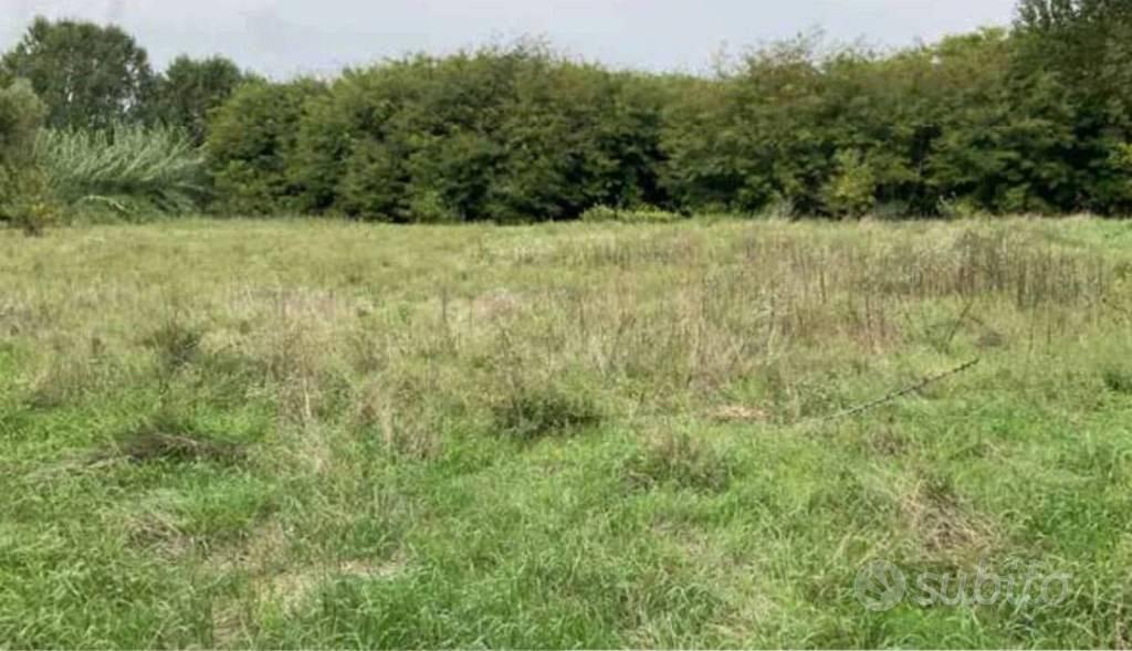 Immobile in asta di 49520 m² a Mantova - Vista 2